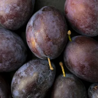 Ripe plums